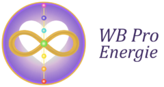 wb-pro-energie Logo